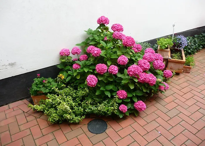 Hahns アパート ロストック