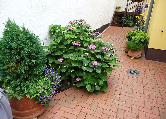 Hahns ロストック